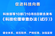 安全审查这道关：为啥企业又怕又爱？