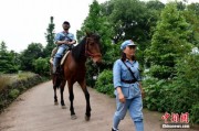 在数字里重走长征路：当AI让红军战士“骑”马来到你我身边