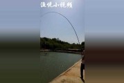 手杆钓鱼的那些门道，让你从此不空军