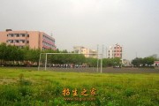 城市里的绿色魔法师：聊聊那个让你身边变美的专业
