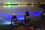 嘿，钓友们！摸黑夜钓时，你可曾对着那支在昏暗水面上若隐若现的浮漂，感到眼睛发酸、心里没底？