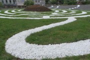 园艺技术的那些事儿：从地里长出的“新花样”与社会大环境的碰撞