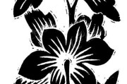 映山红AI整理，智能科技如何让生活更红火