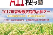 稻种催芽：老把式教你咋让种子蹦出芽儿来