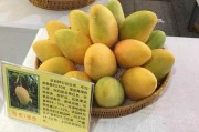 芒果AI推荐：让好内容主动找到你，追剧不再费劲扒拉