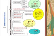 搜索技术应用深度剖析：从数据海洋到智能决策