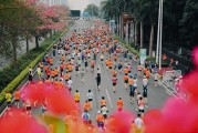 智能马拉松：AI学习路上的加速器与暖心伴侣
