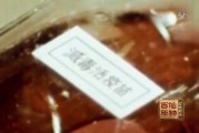 松林保卫战：把病害木头变成宝的炭化妙招