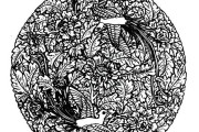 画个圆圈就能玩转AI绘画？钢笔画圆ai让创意起飞不费劲