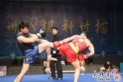 武学跃升之道 从地面到空中的功夫艺术