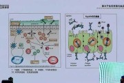 生物技术应用前景大