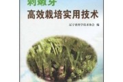 嘿，你听说了吗？山野菜里的“金疙瘩”在家也能种！